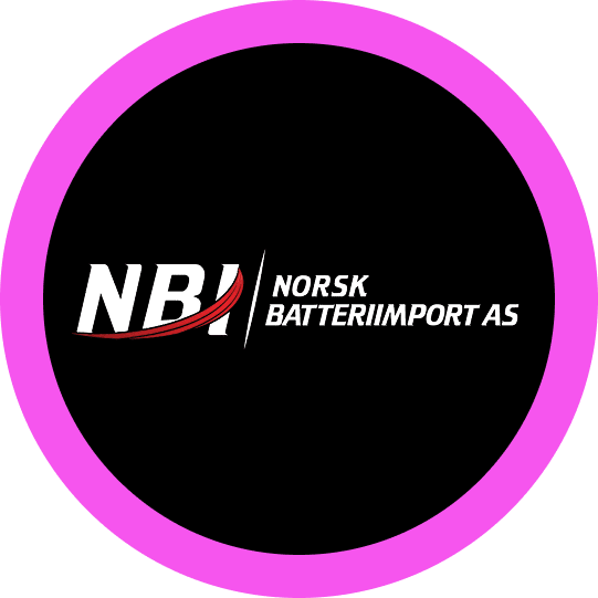 NORSK Batteriimport AS client logo displayed on Nordicdigisolutions website